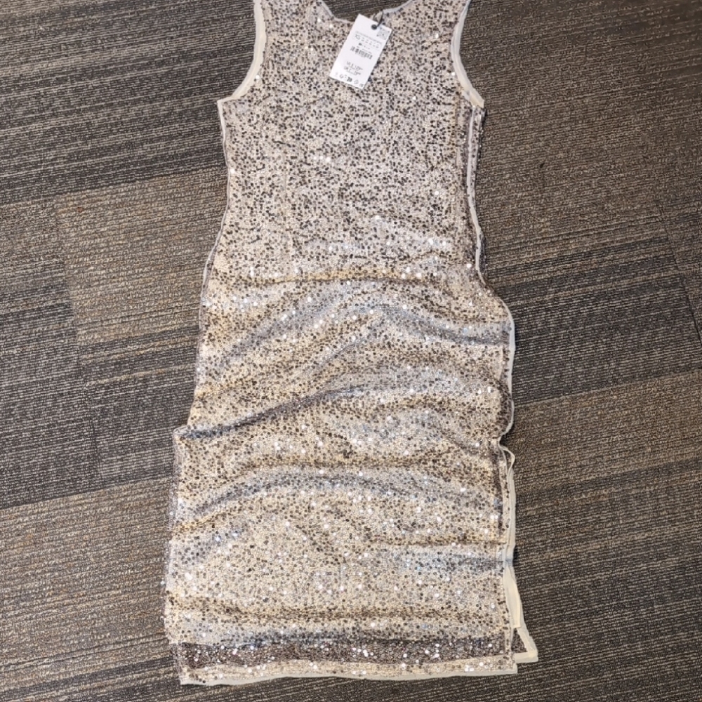 Elegant Sequin Sleeveless Dress